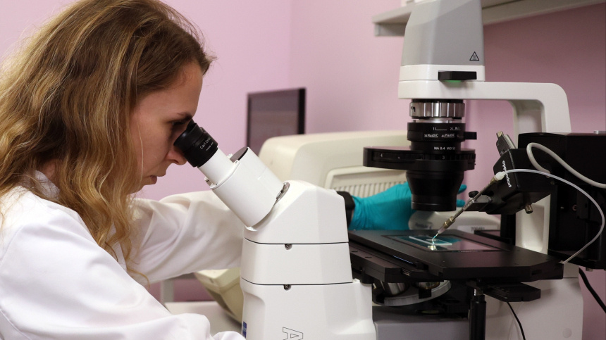    Фото: © РИА Новости/Павел Львов; 5-tv.ru