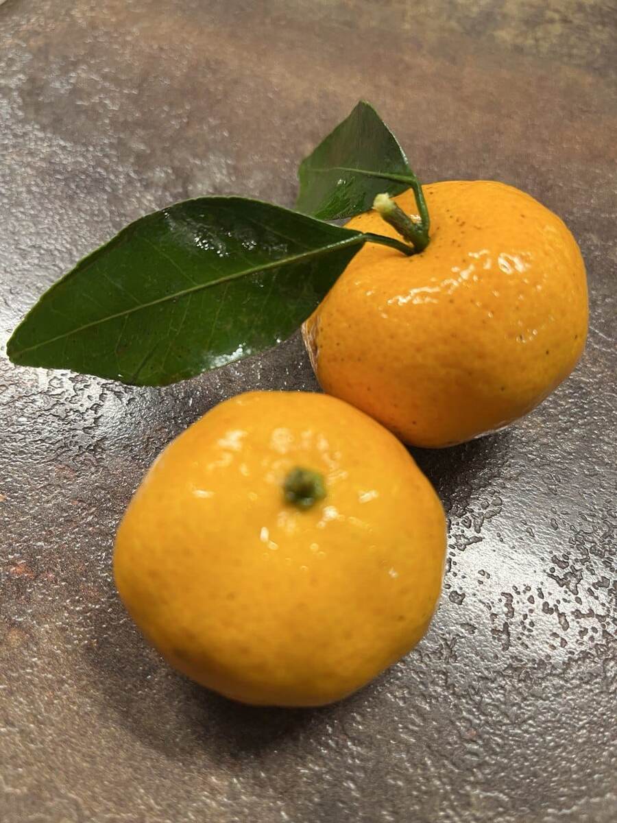 фото из личного архива