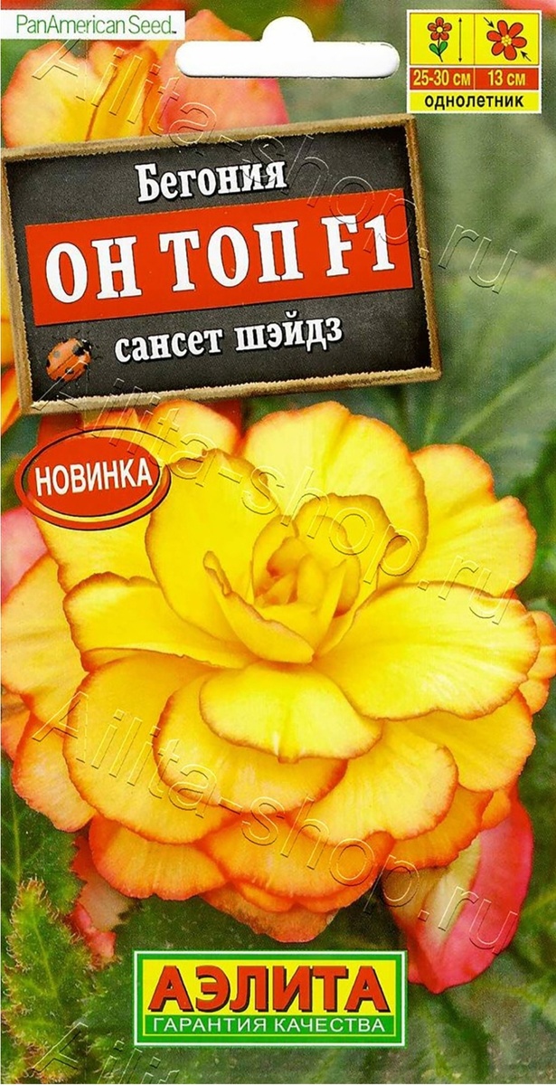 Бегония он топ Сансет шэйдз. 5 семян в упаковке.