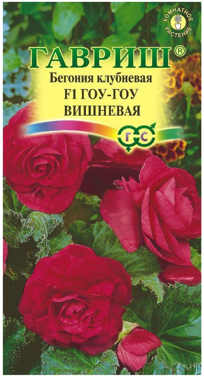 Бегония клубневая Гоу-Гоу вишнёвая. 4 семя в упаковке.