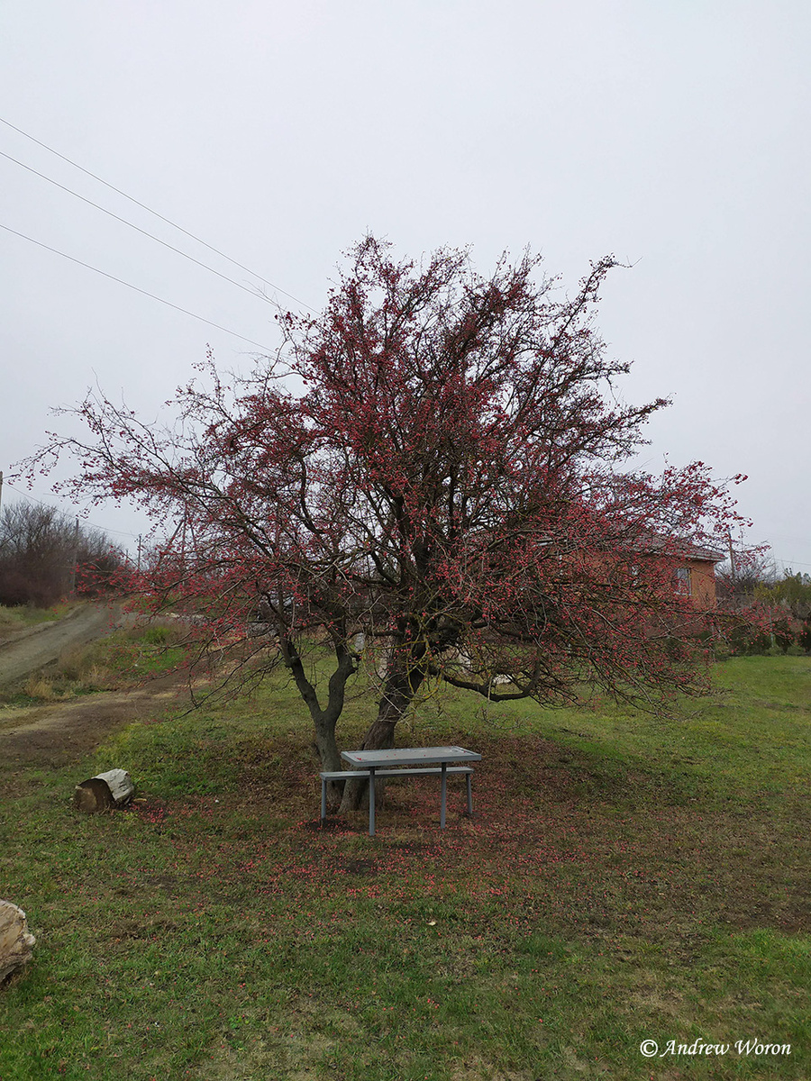 Место для отдыха у небольшого стадиона