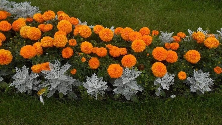 Фото с pinterest.com