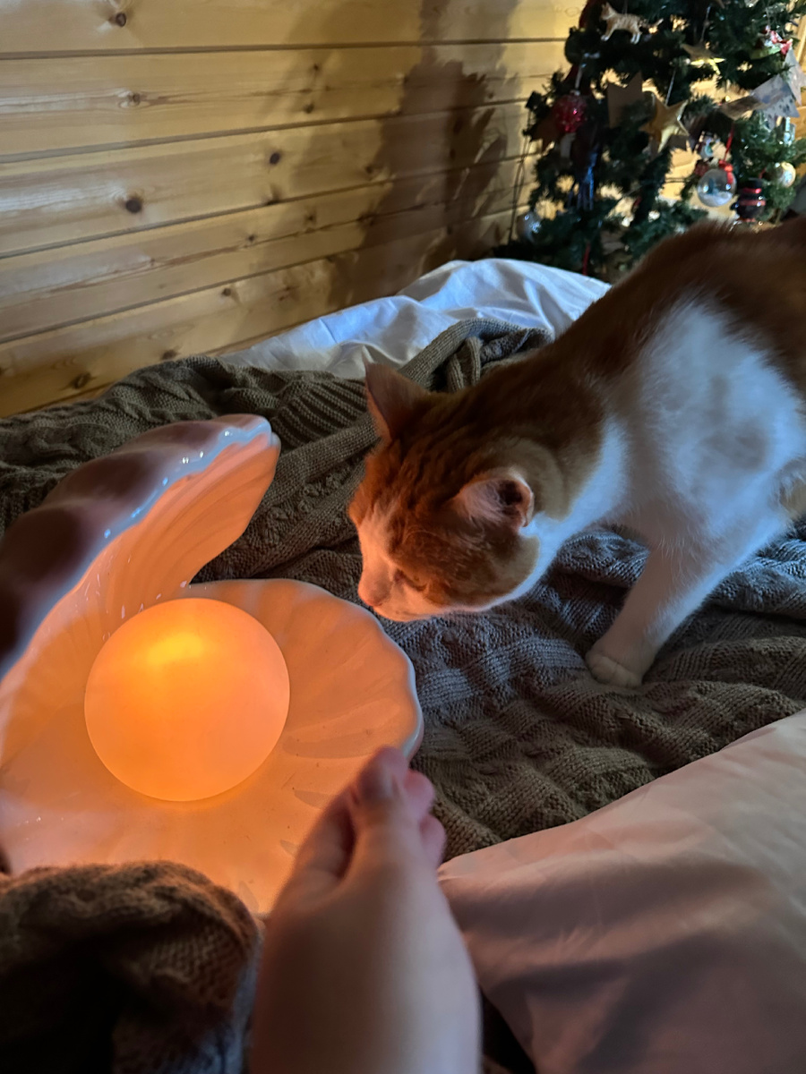 Винтажная ракушка светильник 