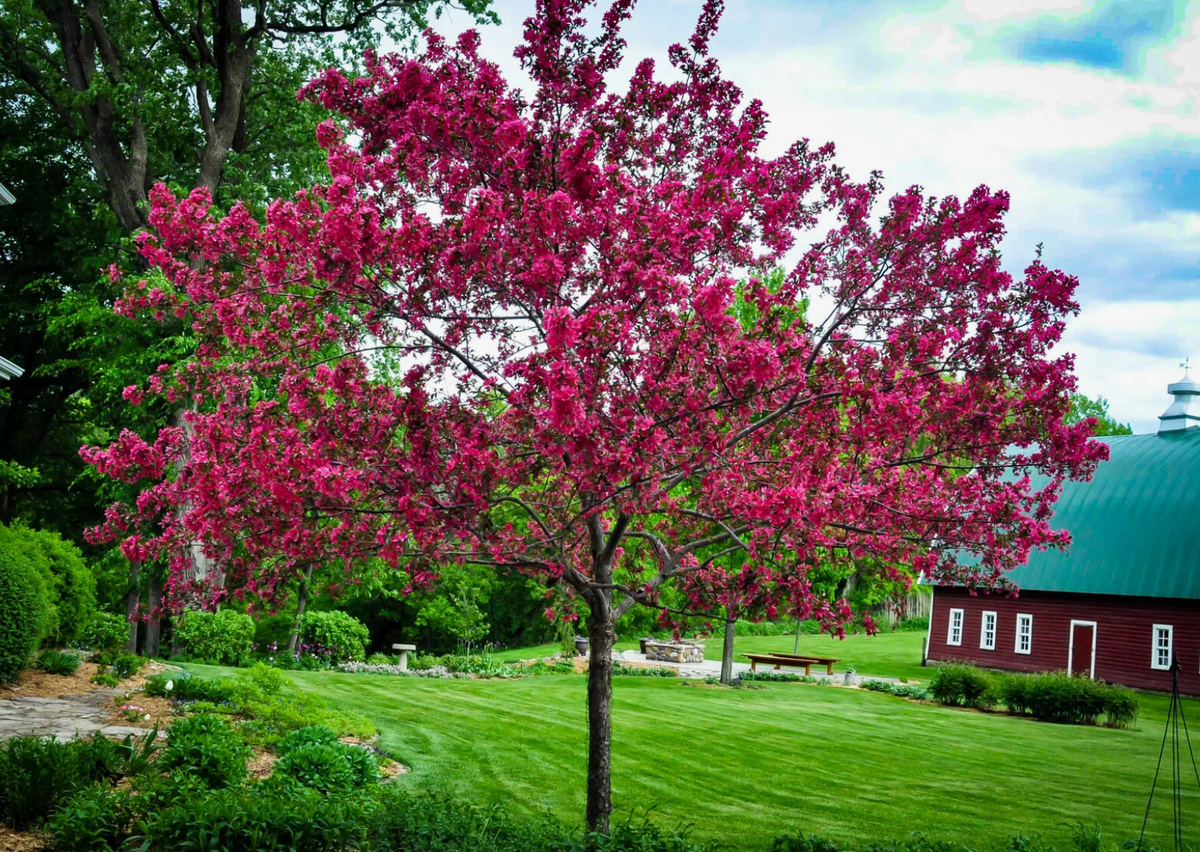 Источник фото: zeleniiles.ru