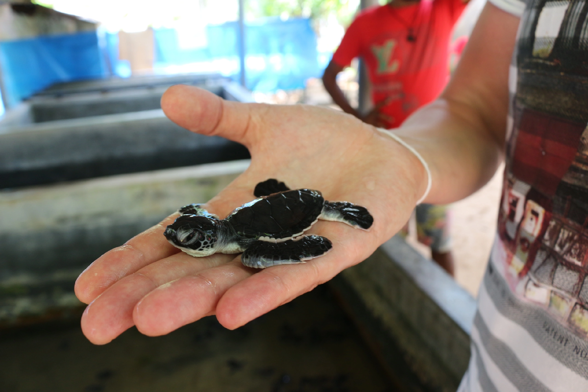 Малышик ❤️