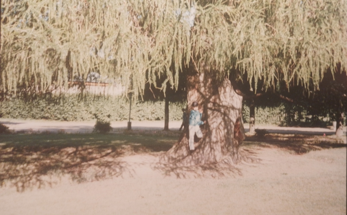 Это я там позирую  в синем свитере:)