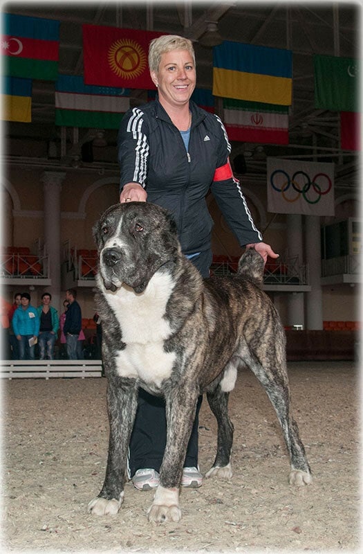 Алмакбат из Клови