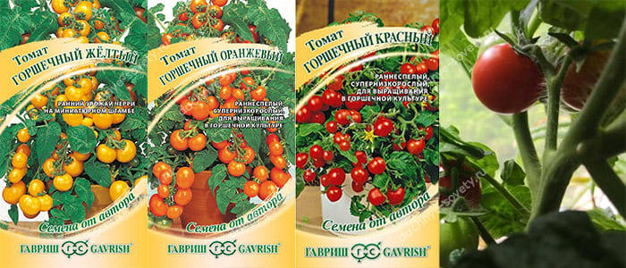 Сорта балконных томатов.