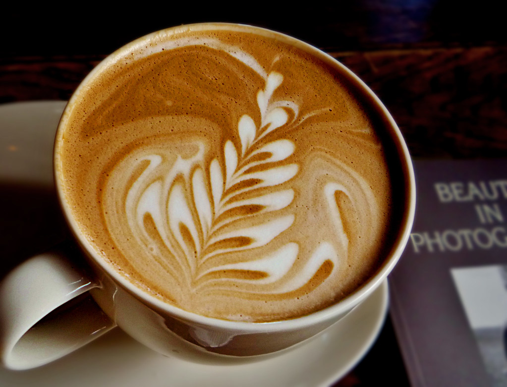 Фото: sea turtle / Wordpress.org / openverse