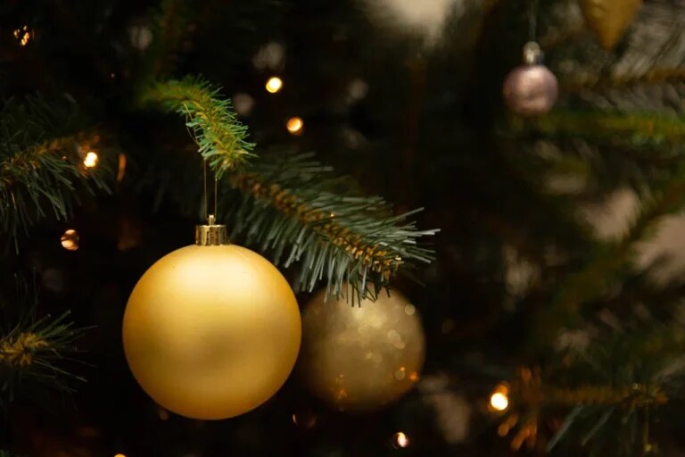    Фото: Общественная Служба Новостей Игорь Бережной