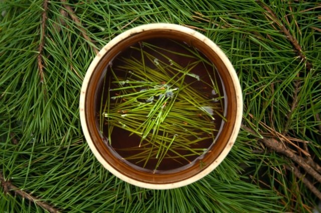 Писал ещё про хвойный настой, на канале материал есть, он тоже эффективен