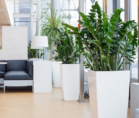 Стильное озеленение