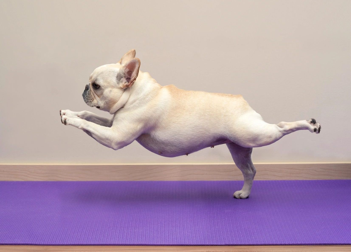 Очень похоже на меня (фото из открытого доступа)