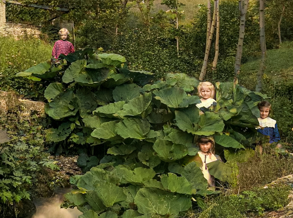 Фотограф: Роберто Донетта