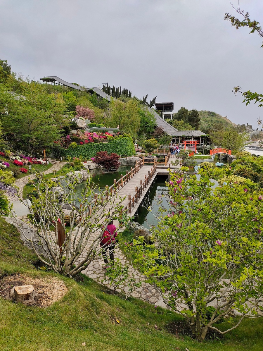 Японский сад в Mriya resort 