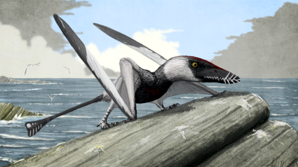 Dorygnathus banthensi — его скучный рыбоядный коллега.