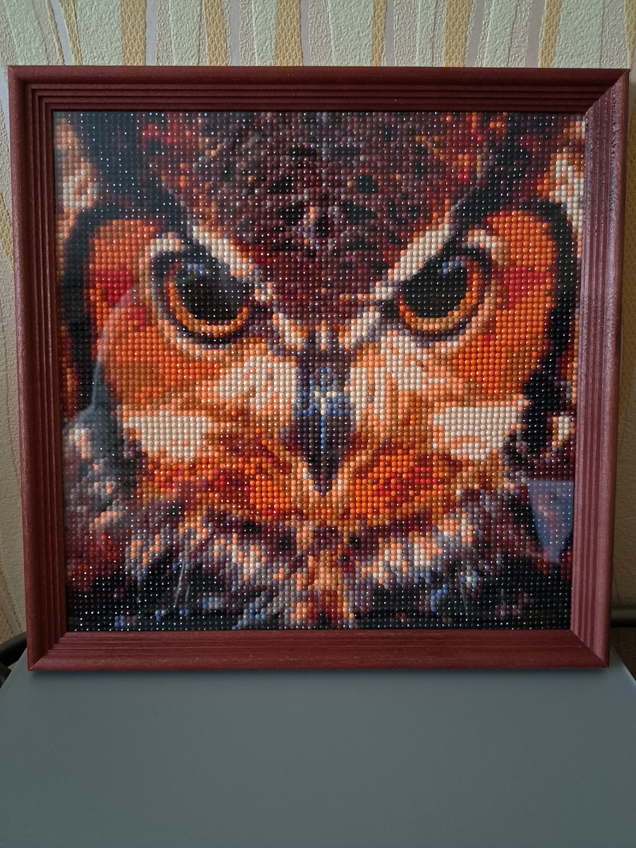 Январь. Взгляд совы, алмазная мозаика. 25х25 см