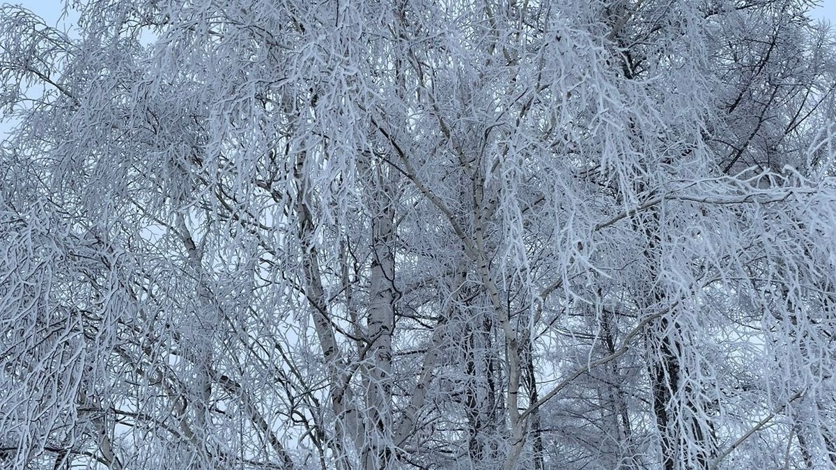     Источник: vostokmedia.com