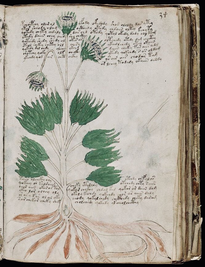 Рукопись Рудольфа II. 