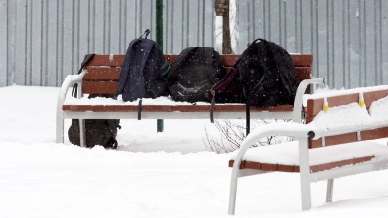     Сквер Химиков. Школьники. Рюкзаки. Анна Зайкова.