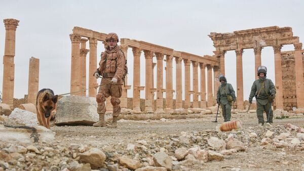    © Министерство обороны РФ