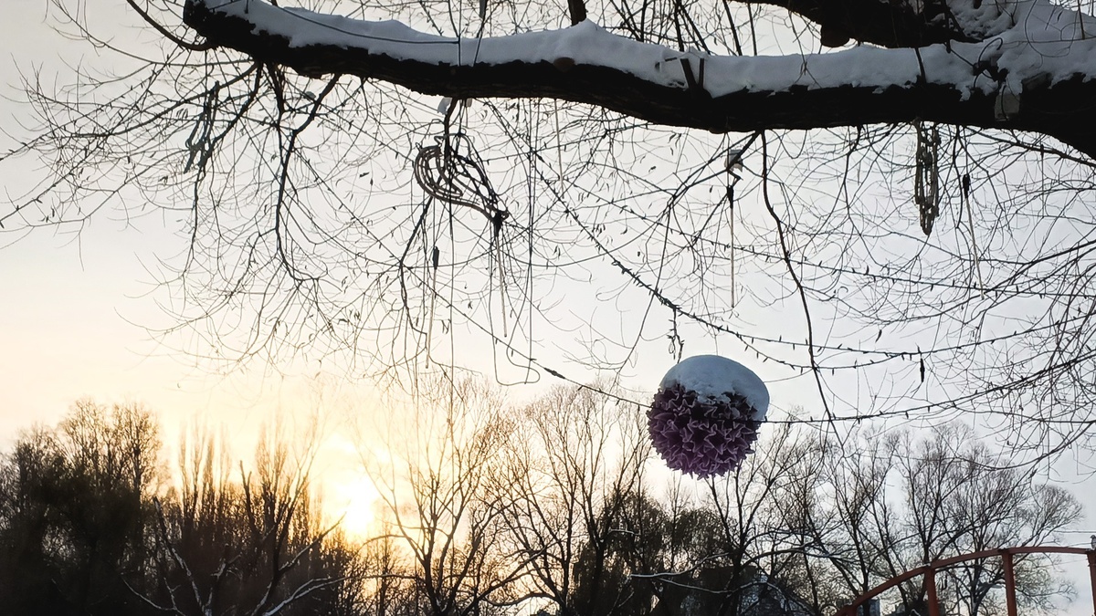     Источник: vostokmedia.com