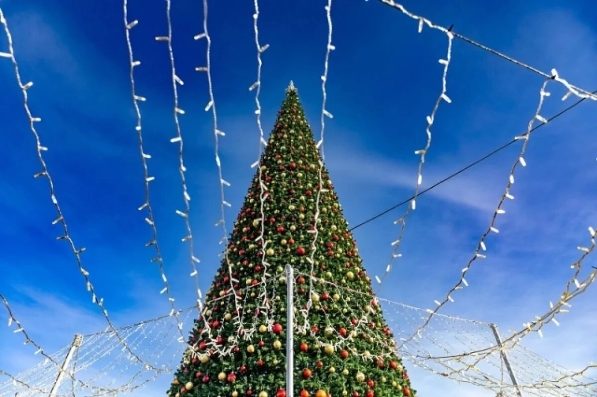    Главный символ Нового года установят во Владивостоке до 25 декабря.