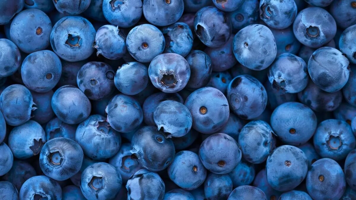     Источник: Изображение Midjourney