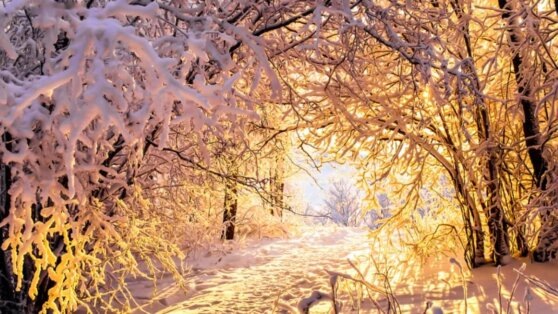    В России ожидается зима с обилием оттепелей Андрей Галкин