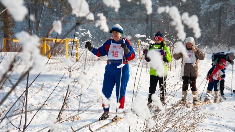     Зимние лыжи Фото: Дмитрий Лямзин