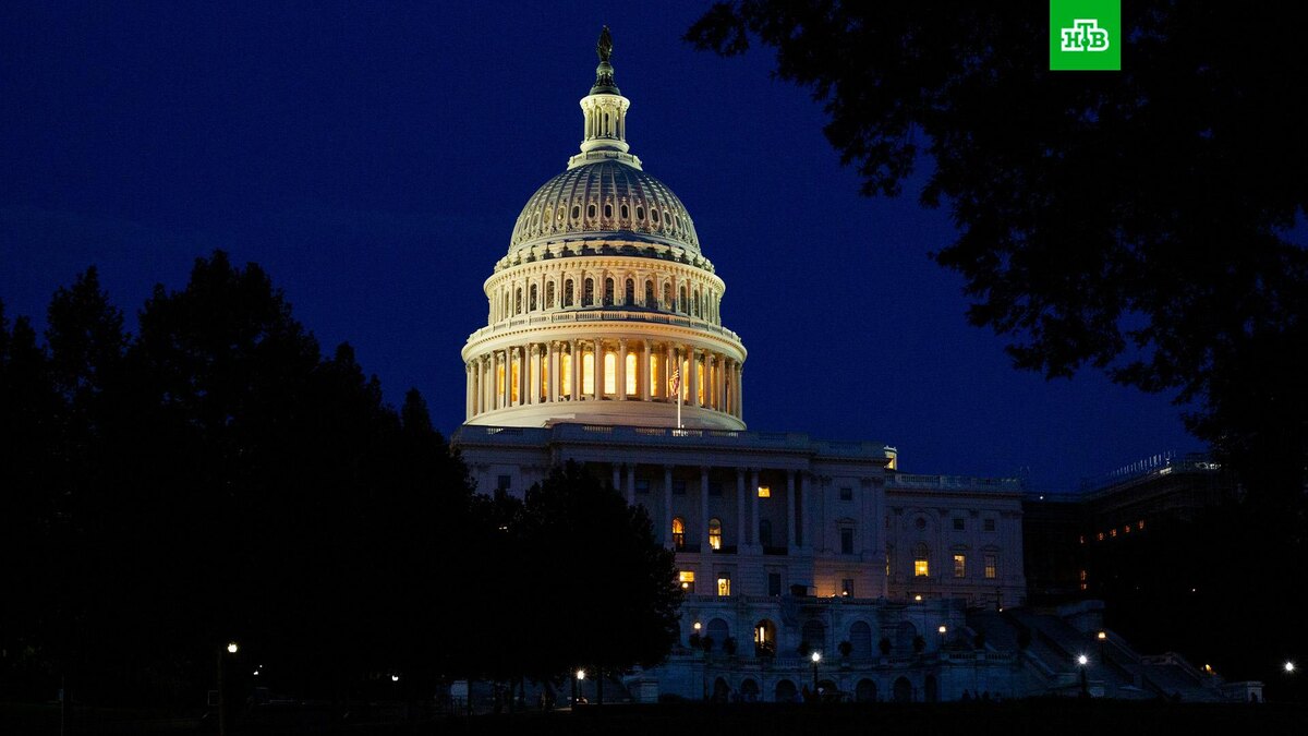    Фото: Darren Halstead / unsplash.com