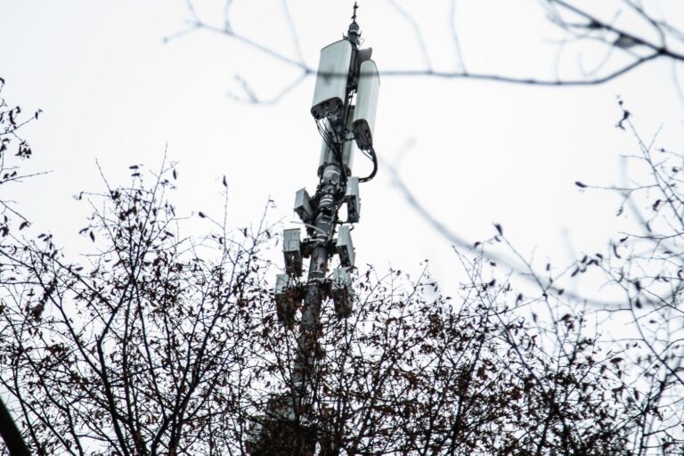    Фото: Общественная Служба Новостей Анфиса Слепцова