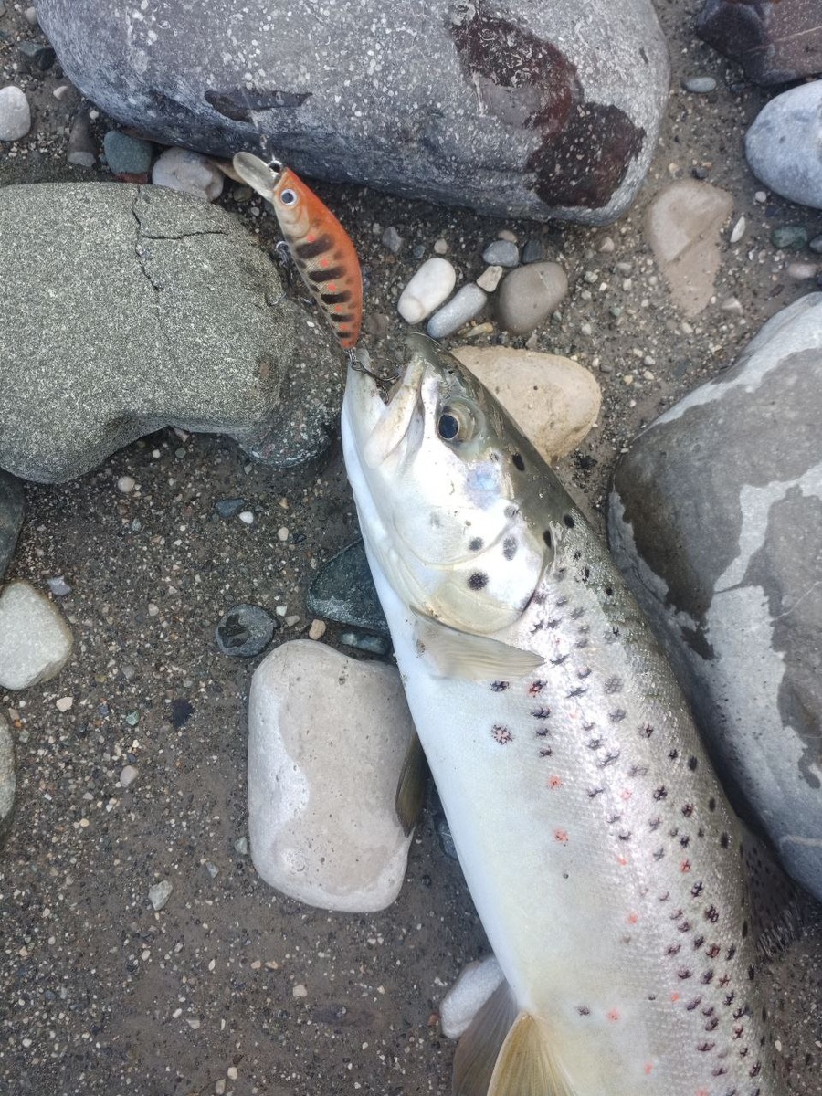 ТМ 42 на горной реке