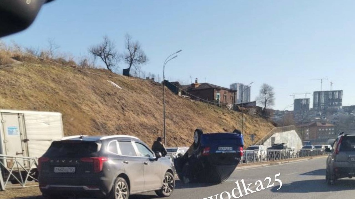     Источник: svodka25