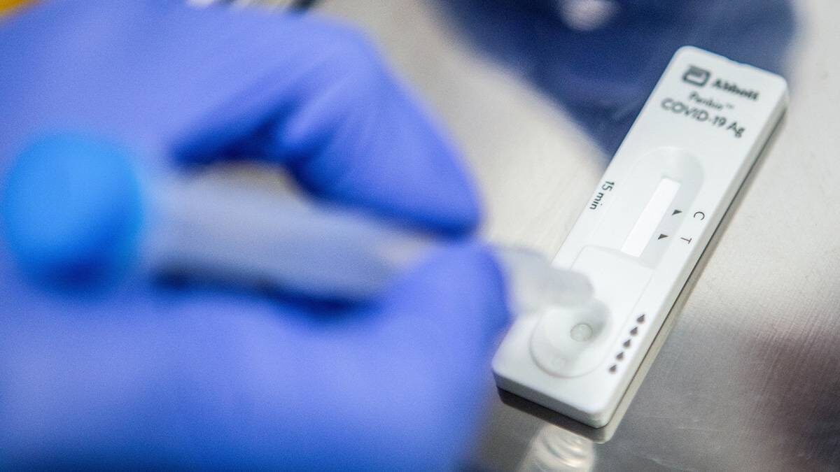    Фото: Софья Сандурская / АГН Москва