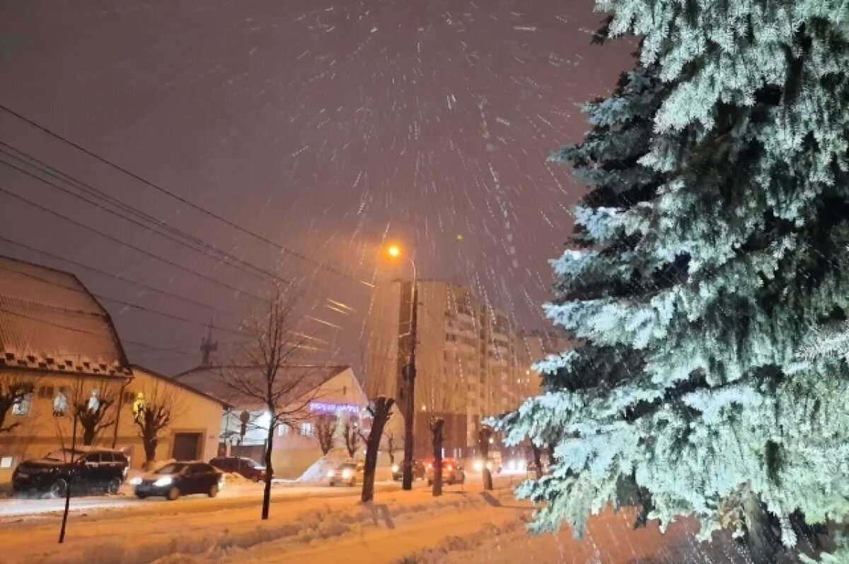    Николашин: снег с дождем может привести к появлению морщин