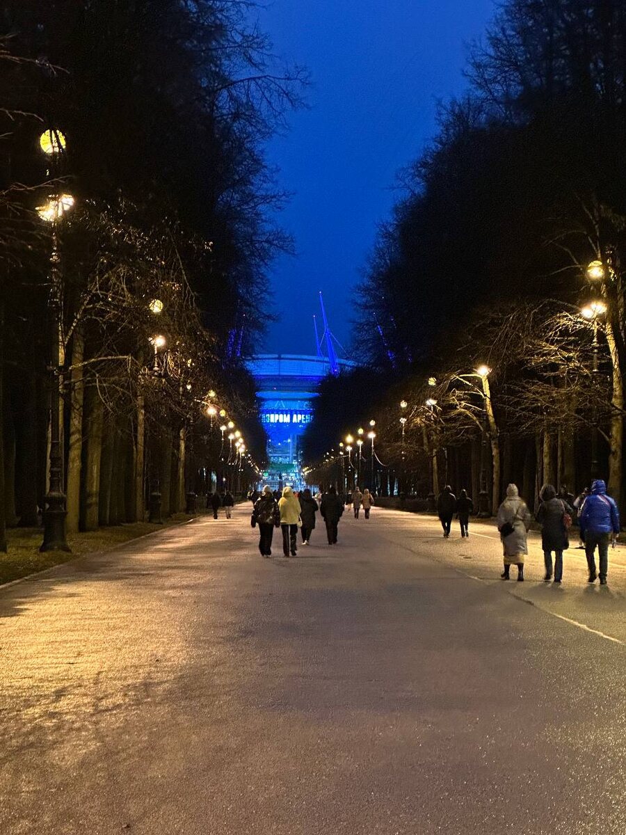 Стадион Газпром Арена