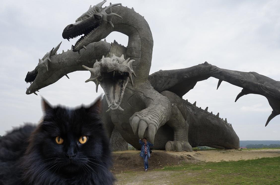 это Горыныч до лечения Лаюна. Фото автора. Лаюн электронный 