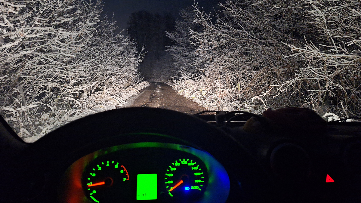 Фото автора. 