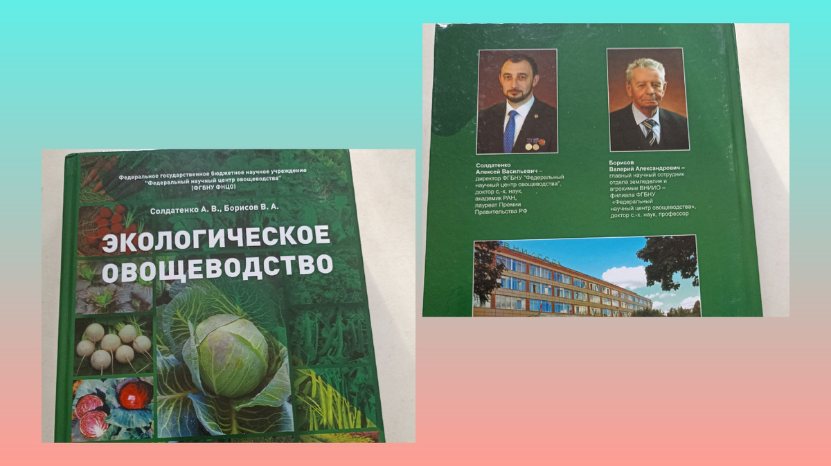 Коллаж книги: обложка с двух сторон. Фото автора