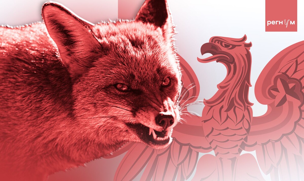     / Источник: © ИА Регнум