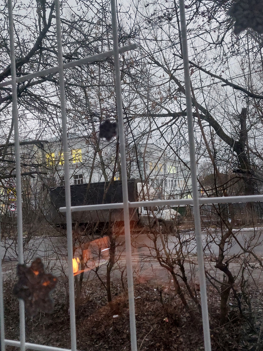 Школа напротив дома