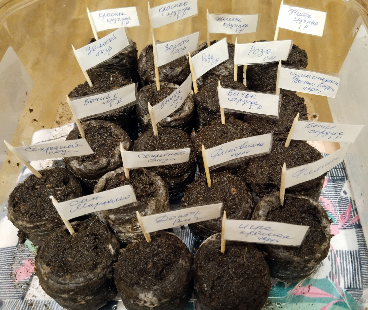 Фото от 20.03.2024