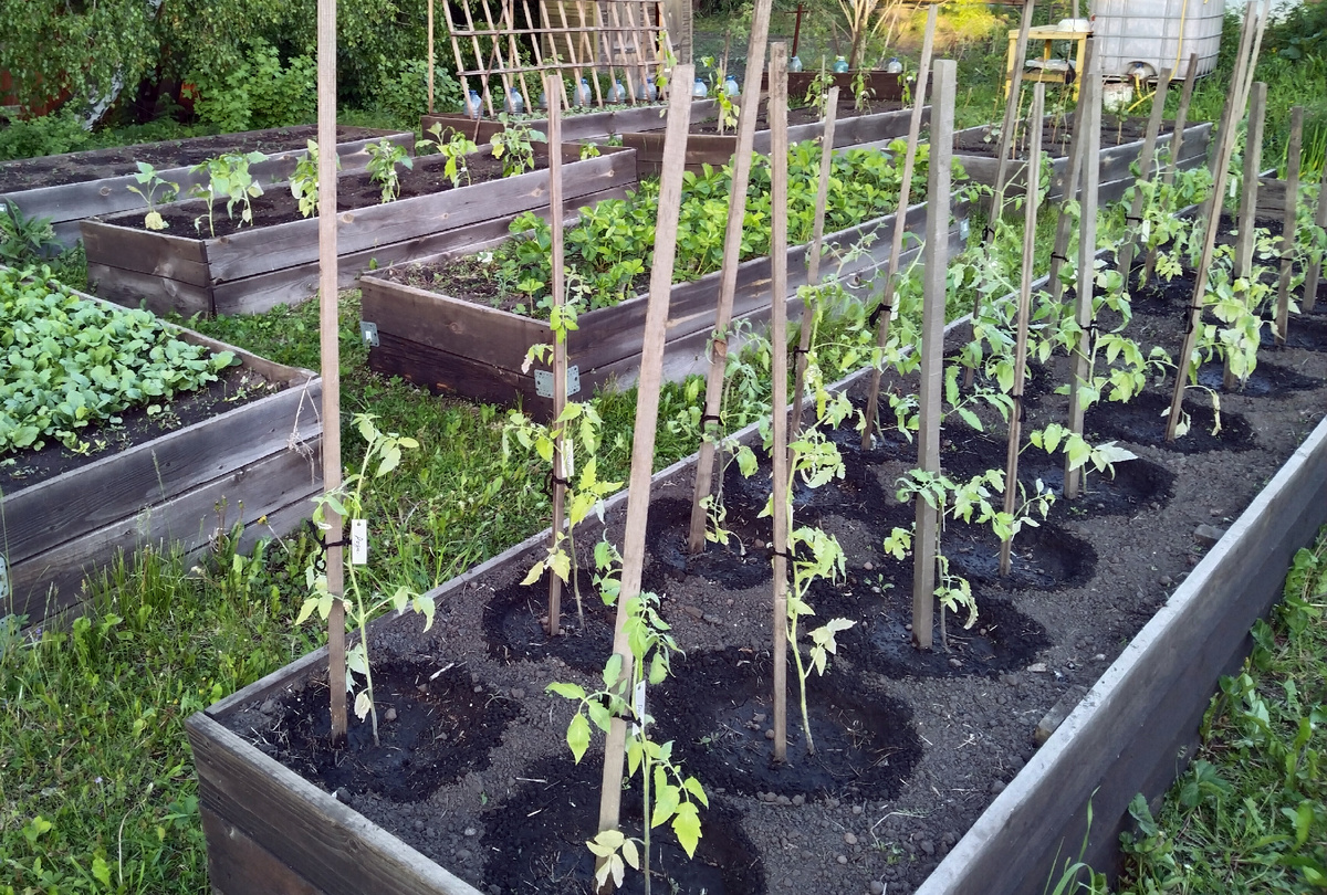 Фото от 02.06.2024