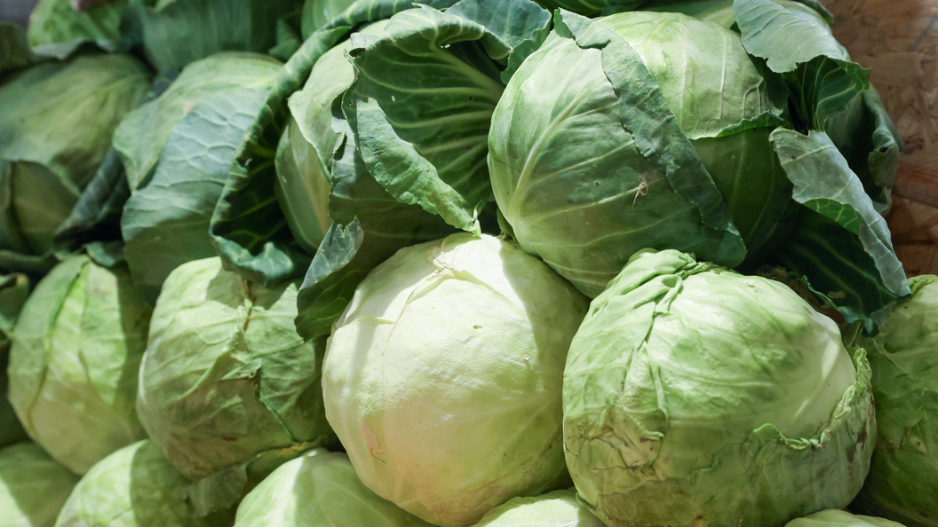    фото: Petrov Sergey/news.ru/Globallookpress