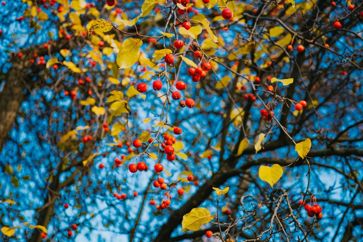    Фото: "Республика" / Лилия Кончакова