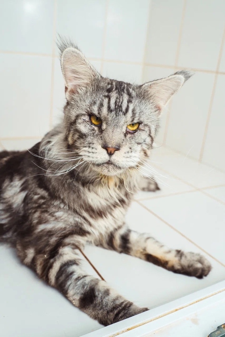 ПРИЮТ-единственное, что у них есть!