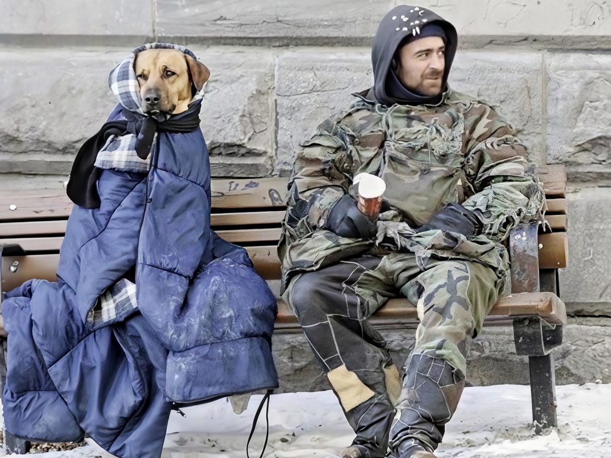 Верные друзья в любых обстоятельствах