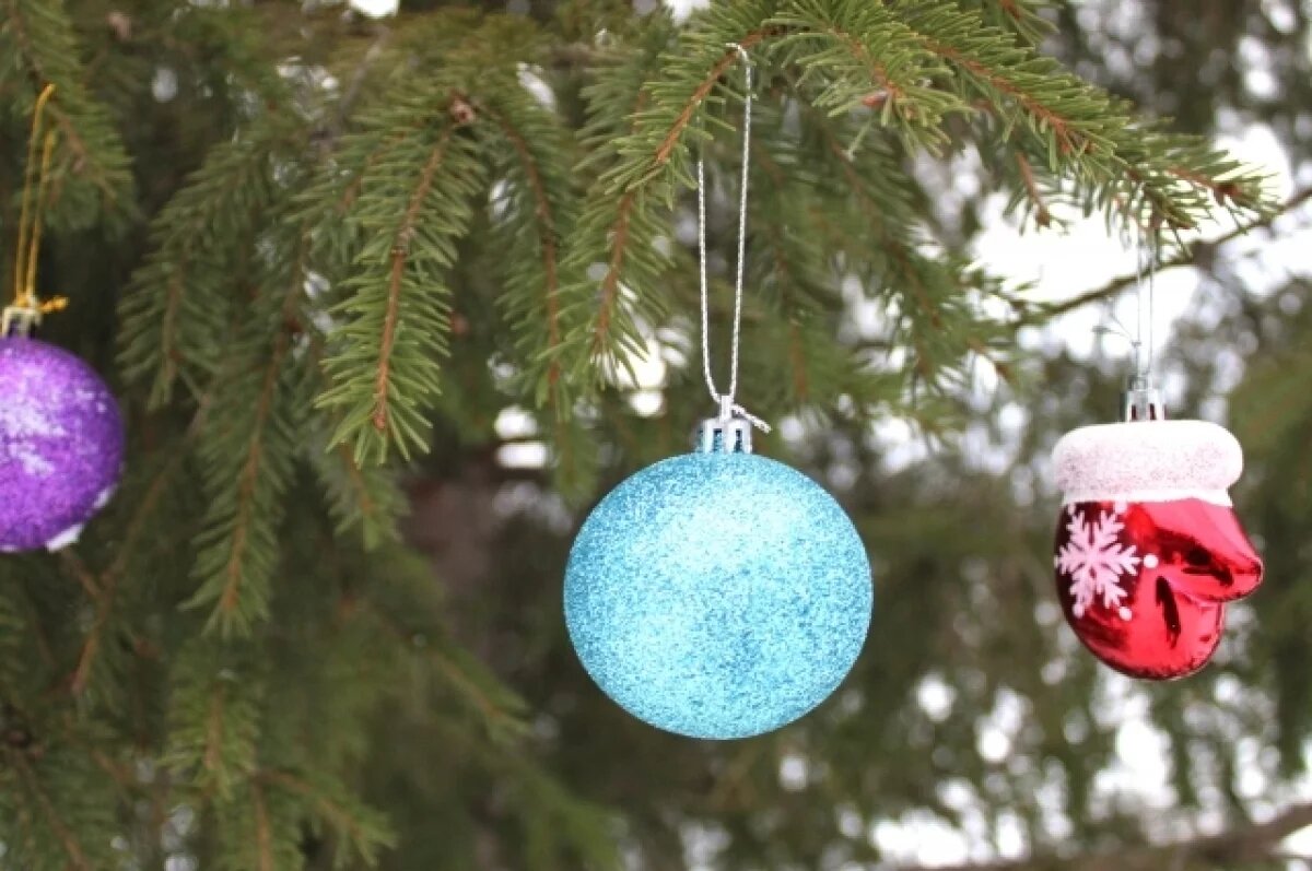    Губернаторские елки пройдут с 19 по 27 декабря.