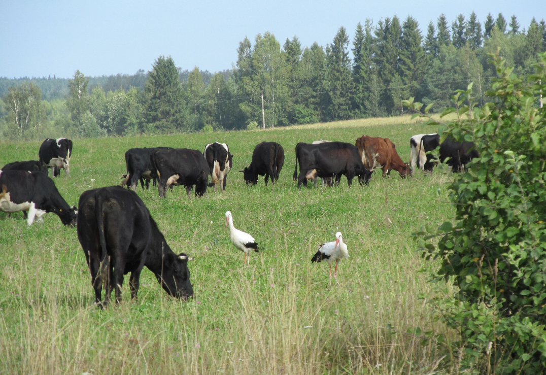 Фото из домашнего архива